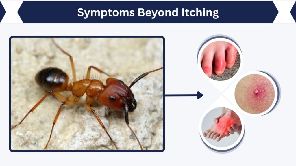 Symptoms Beyond Itching
