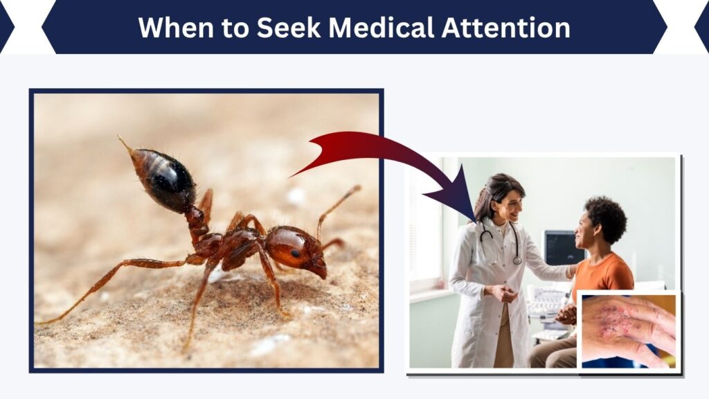 When to Seek Medical Attention