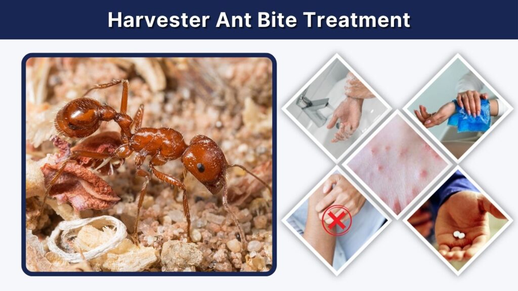 Use an over-the-counter pain reliever if you can take it safely.